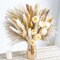 Pampas Grass Decor,Dried Pampas Grass Mix Bouquet | Dried Flowers Bouquet for Wedding Boho Flowers Home Table Decor Desk Decor, Rustic Farmhouse Decor Boho Flowers Home Table Decor (White&Beige)